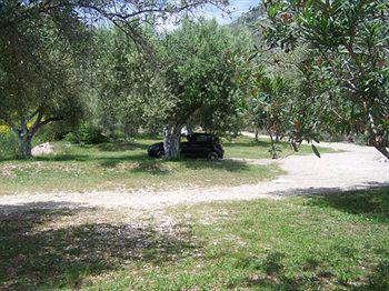 Plataria Beach Hotel Sívota Eksteriør billede
